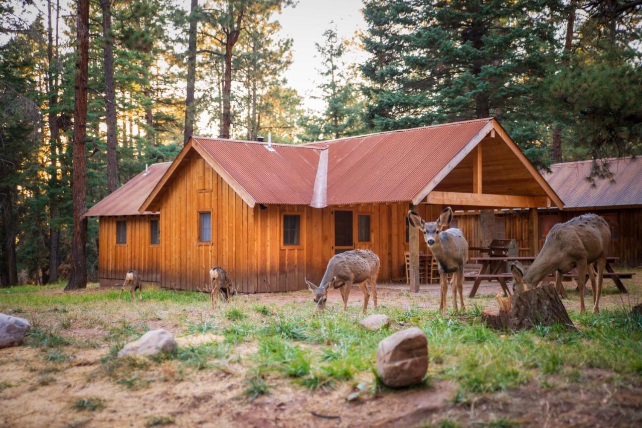 Corkins Lodge Chama Exterior photo